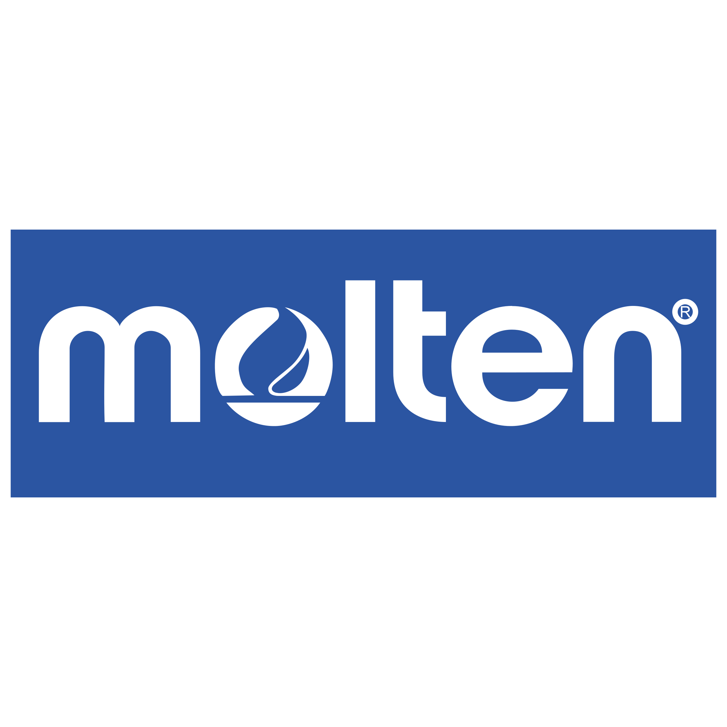 Molten Logo