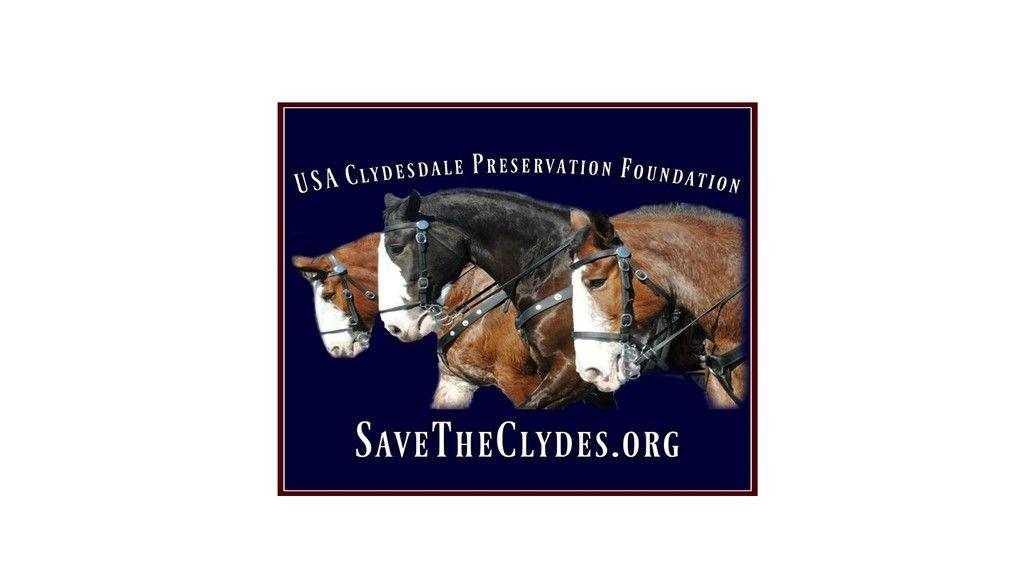Clydesdale Logo LogoDix