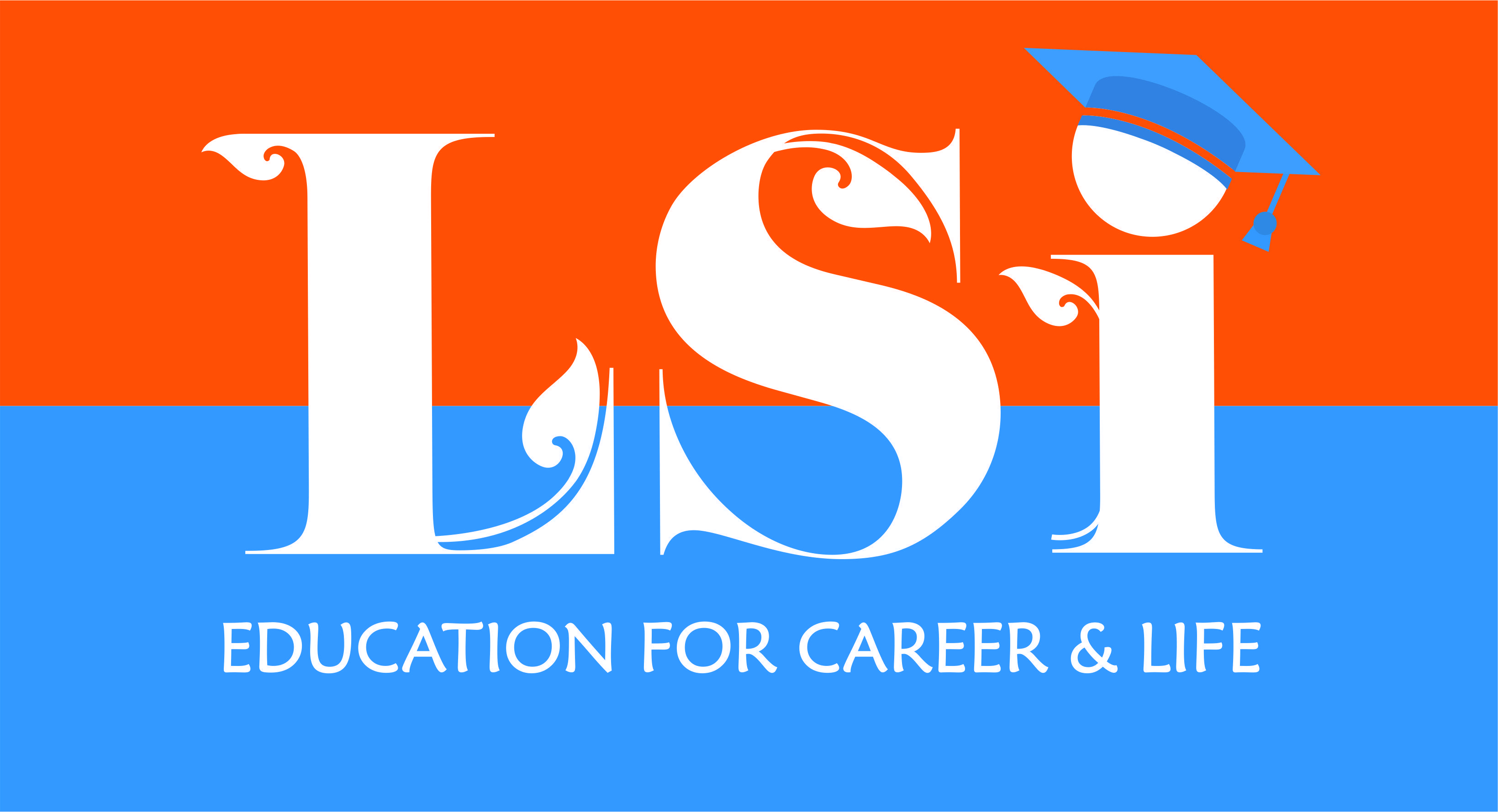 LSI Logo LogoDix