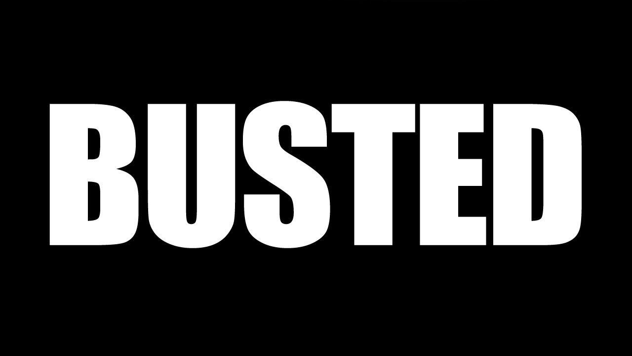 Busted Logo LogoDix