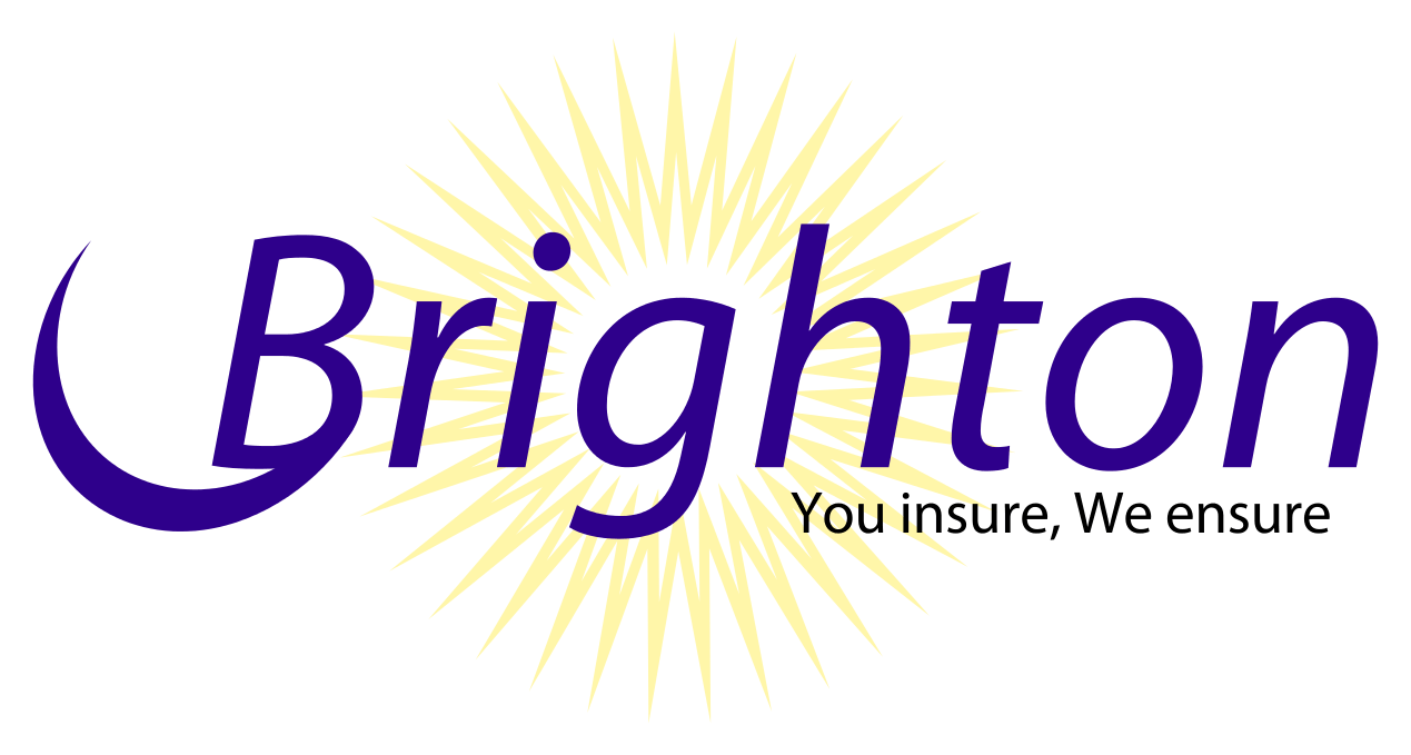 Brighton Logo LogoDix