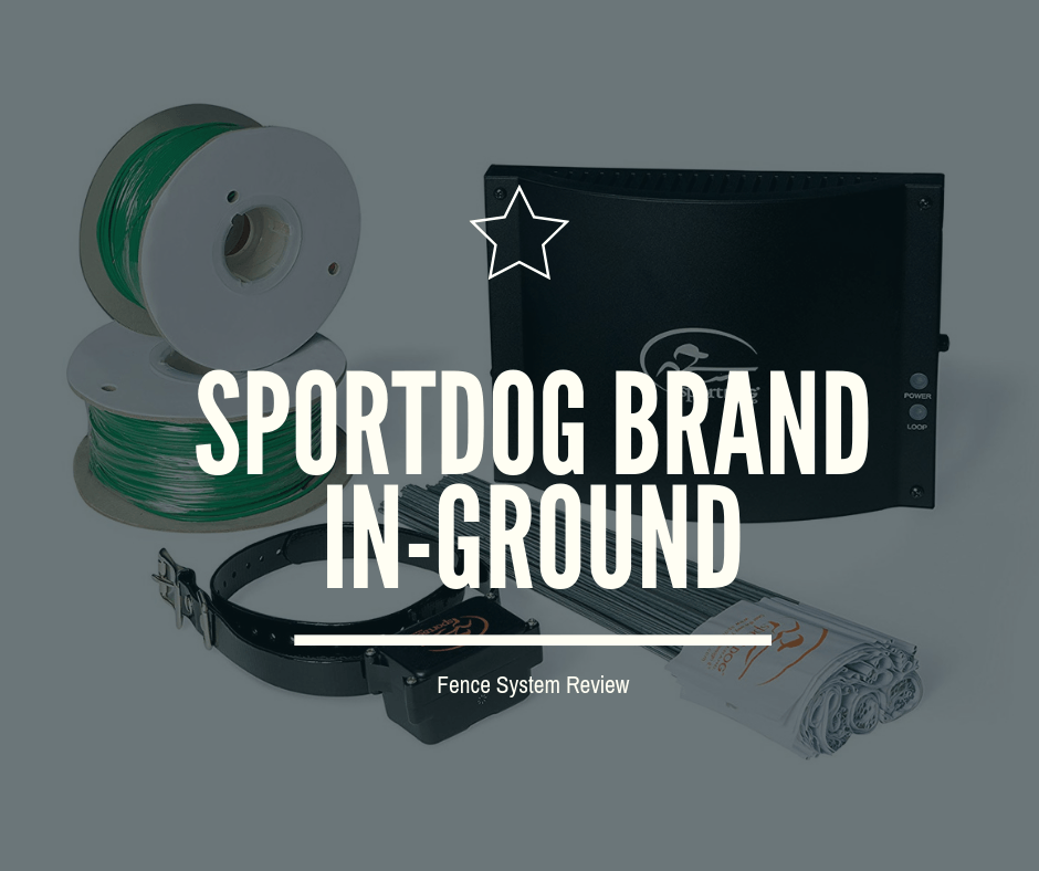 SportDOG Logo LogoDix