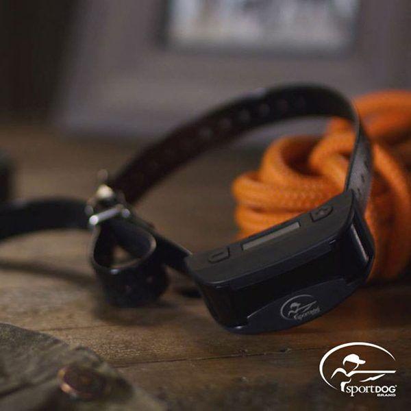 SportDOG Logo LogoDix