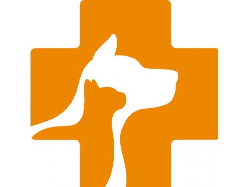 Banfield Pet Hospital Logo LogoDix