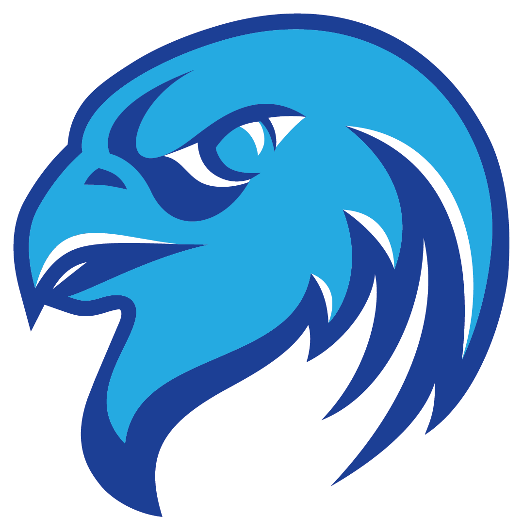 Blue and Black Logo LogoDix