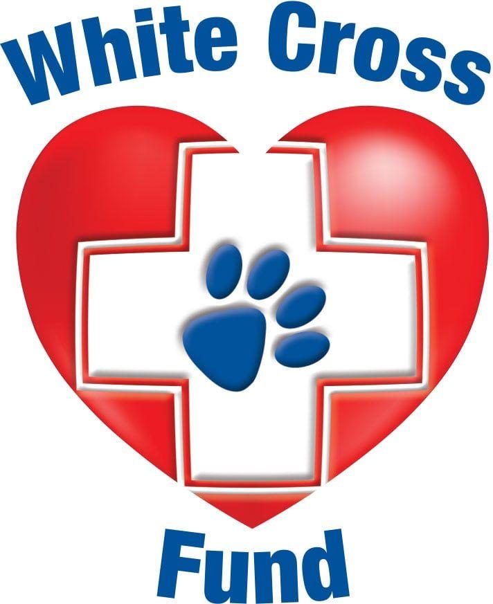 Who Has White Cross Logo LogoDix
