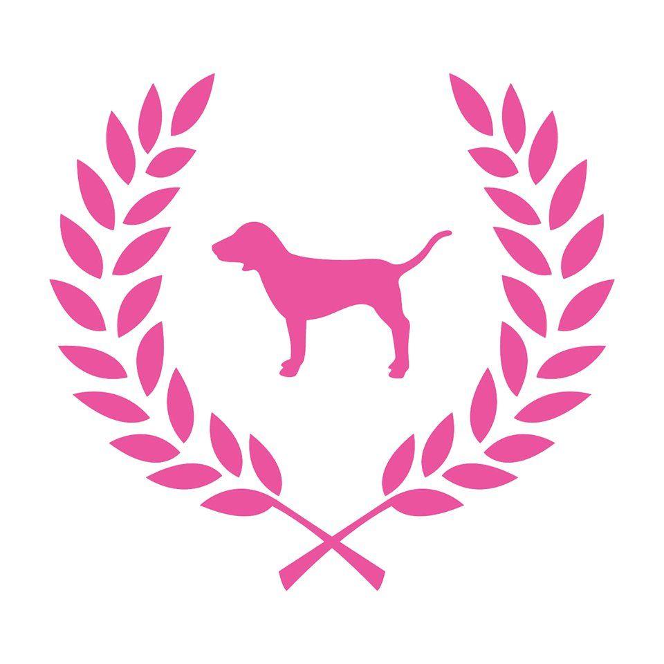 vs Pink Logo LogoDix