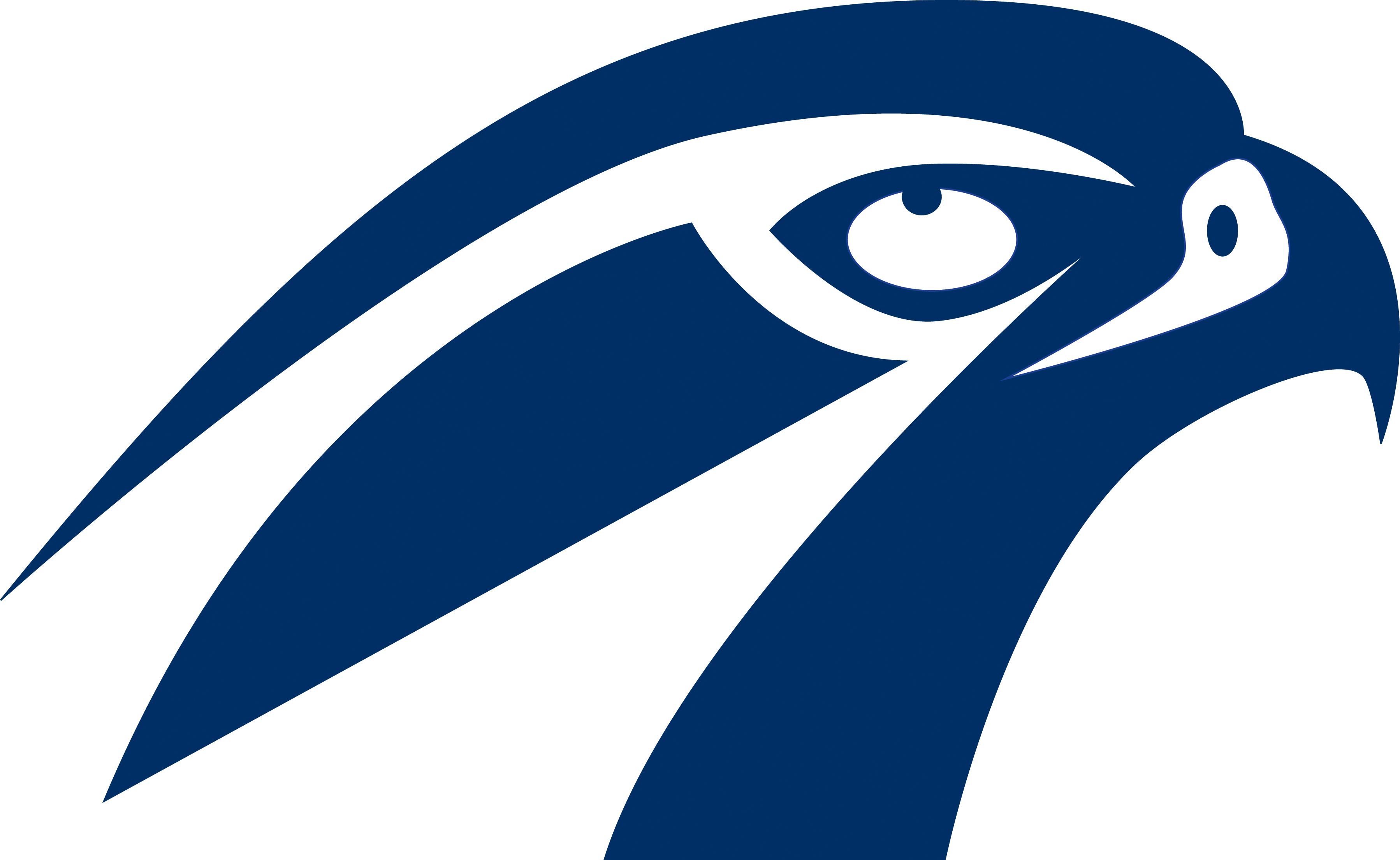 Blue Falcon Logo LogoDix