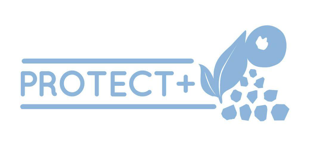 Amway G&H Logo LogoDix