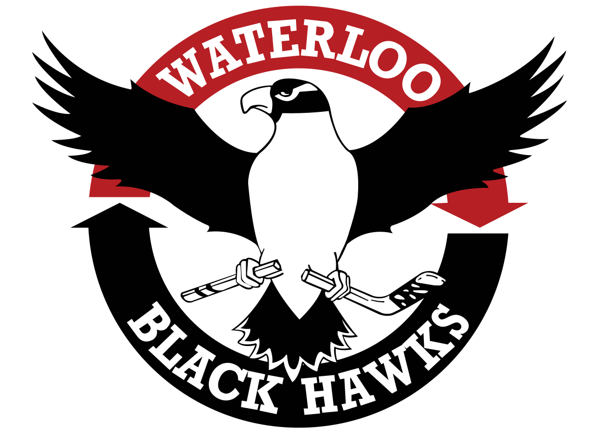 Black Hawk Bird Logo LogoDix