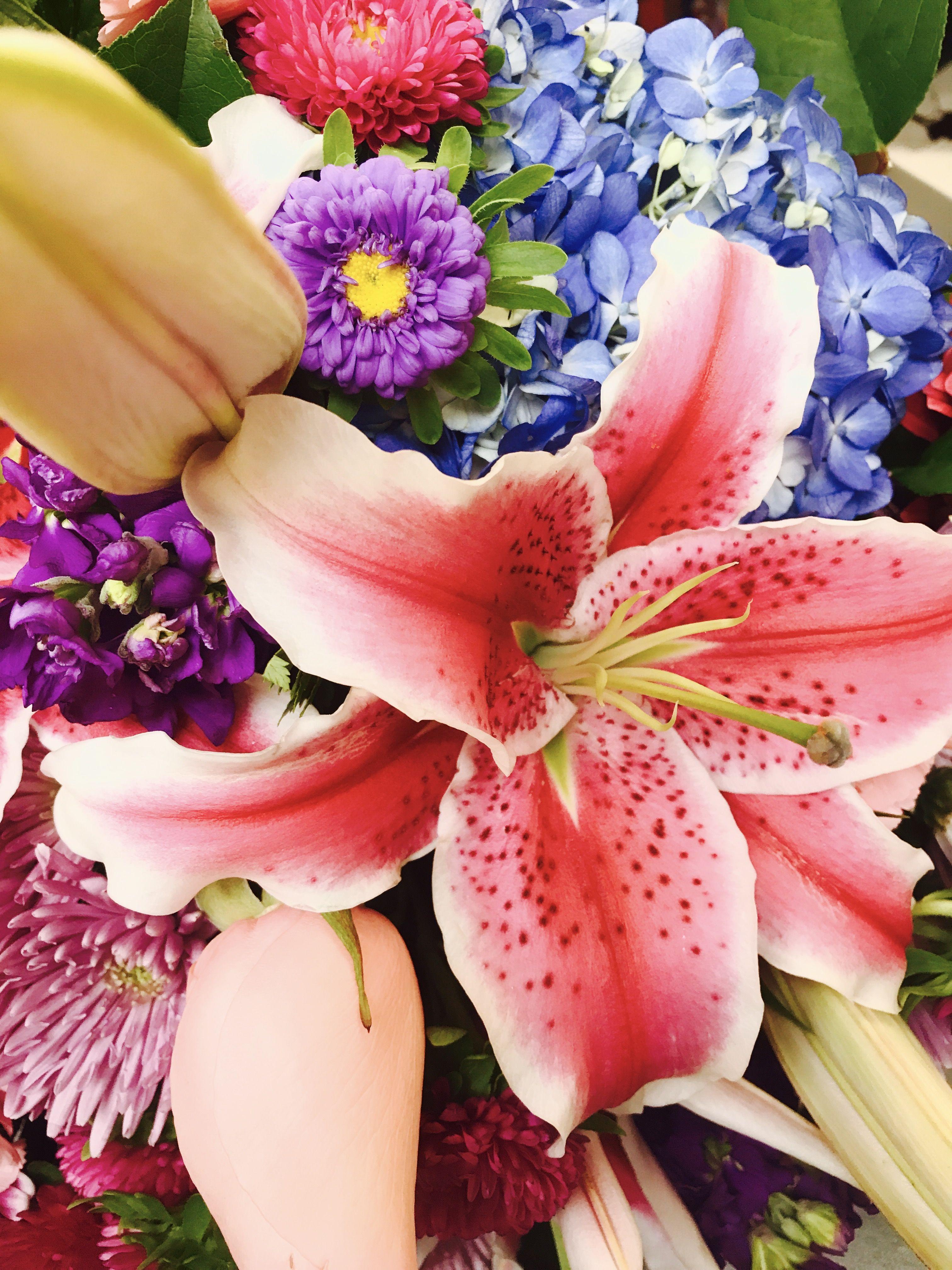 Flower World Logo LogoDix