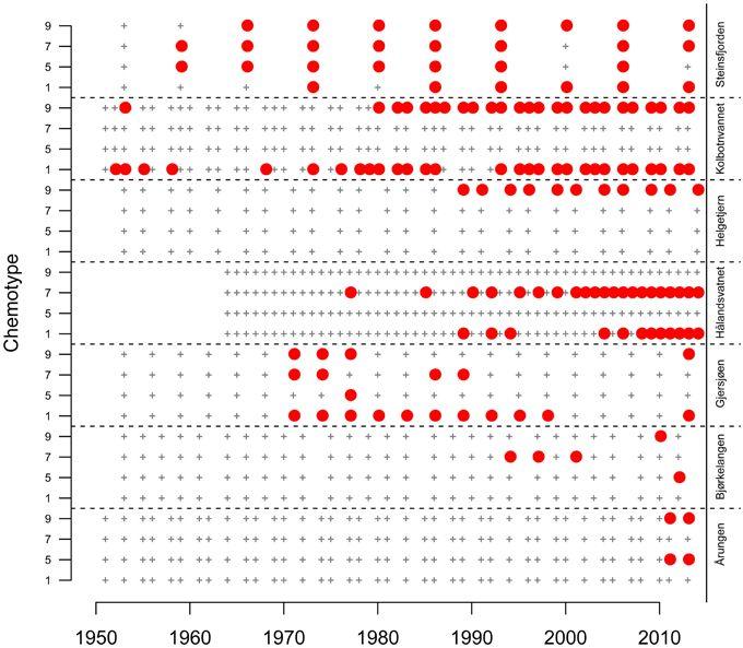 Solid Red Circle Logo LogoDix