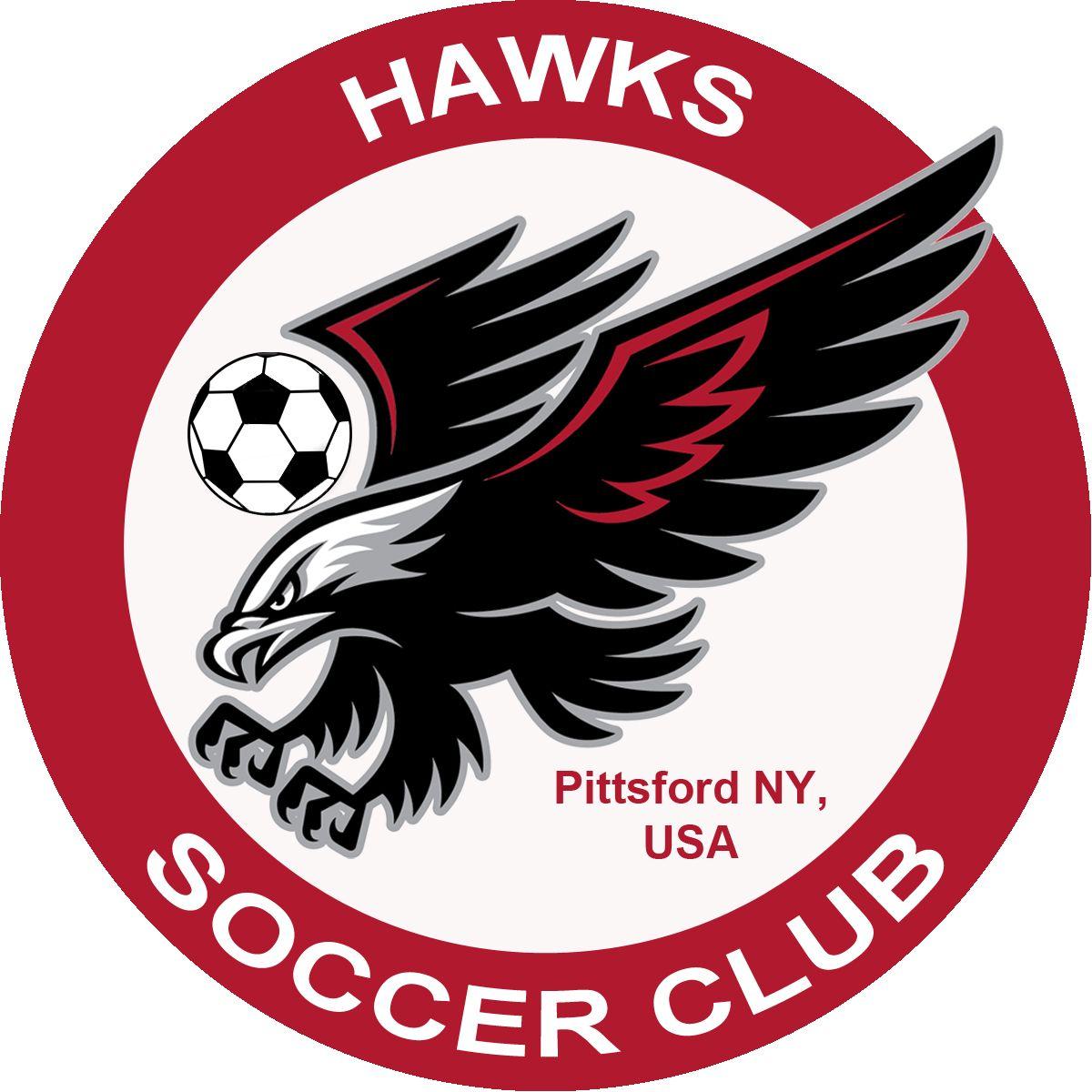 Hawks Soccer Logo LogoDix