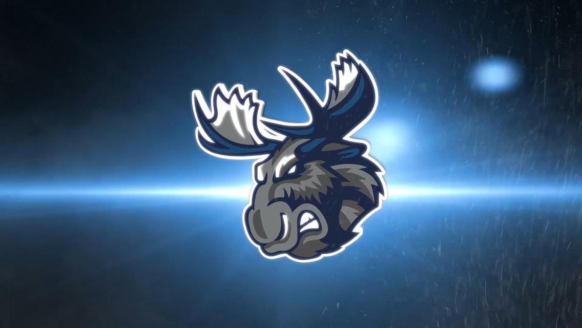 Manitoba Moose Logo LogoDix