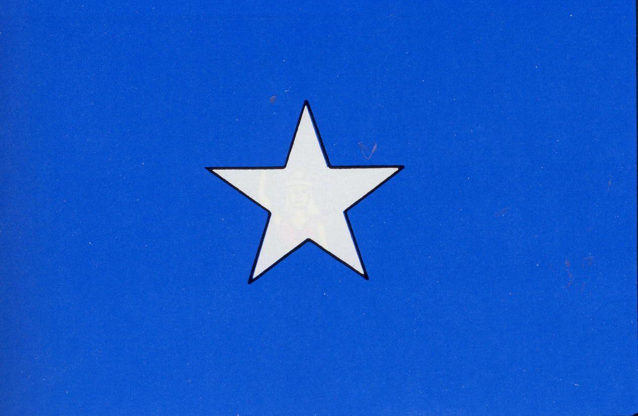Blue Flag with Stars Logo