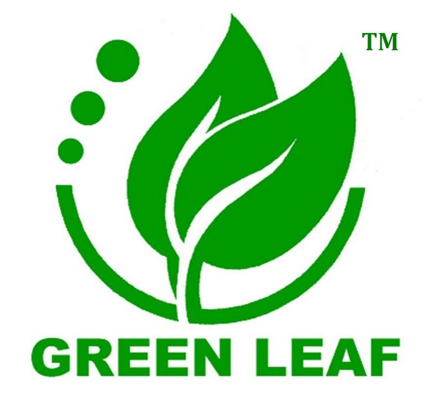 Green Leaf Logo