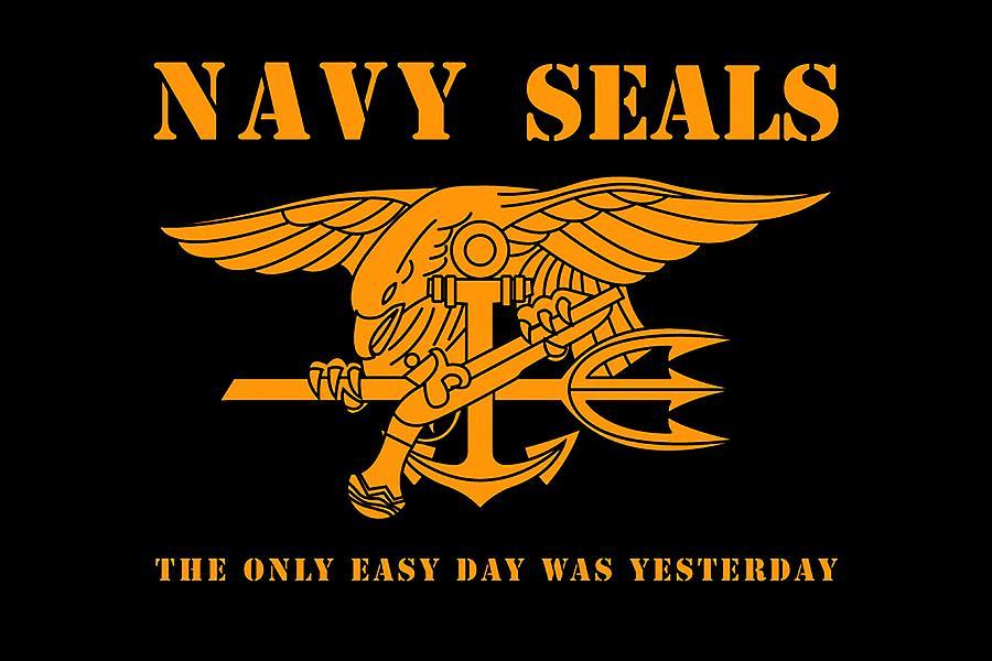 Navy Seal Emblem Wallpaper
