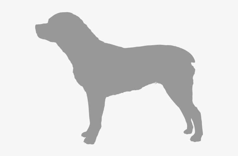 Pink Dog Logo LogoDix