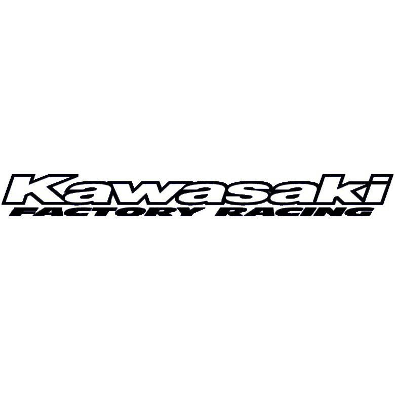 Kawasaki Racing Logo LogoDix