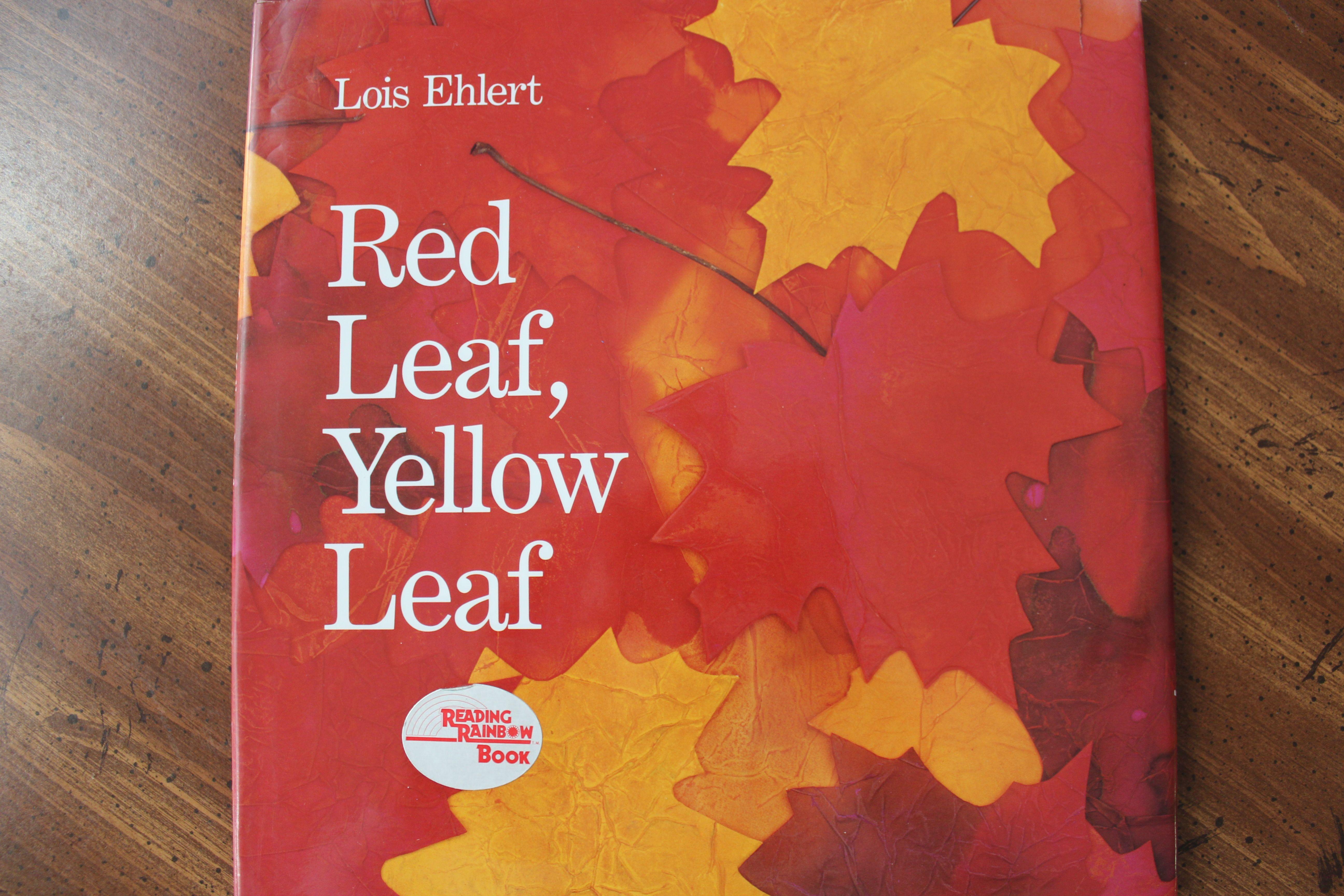 Red Leaf Yellow Logo