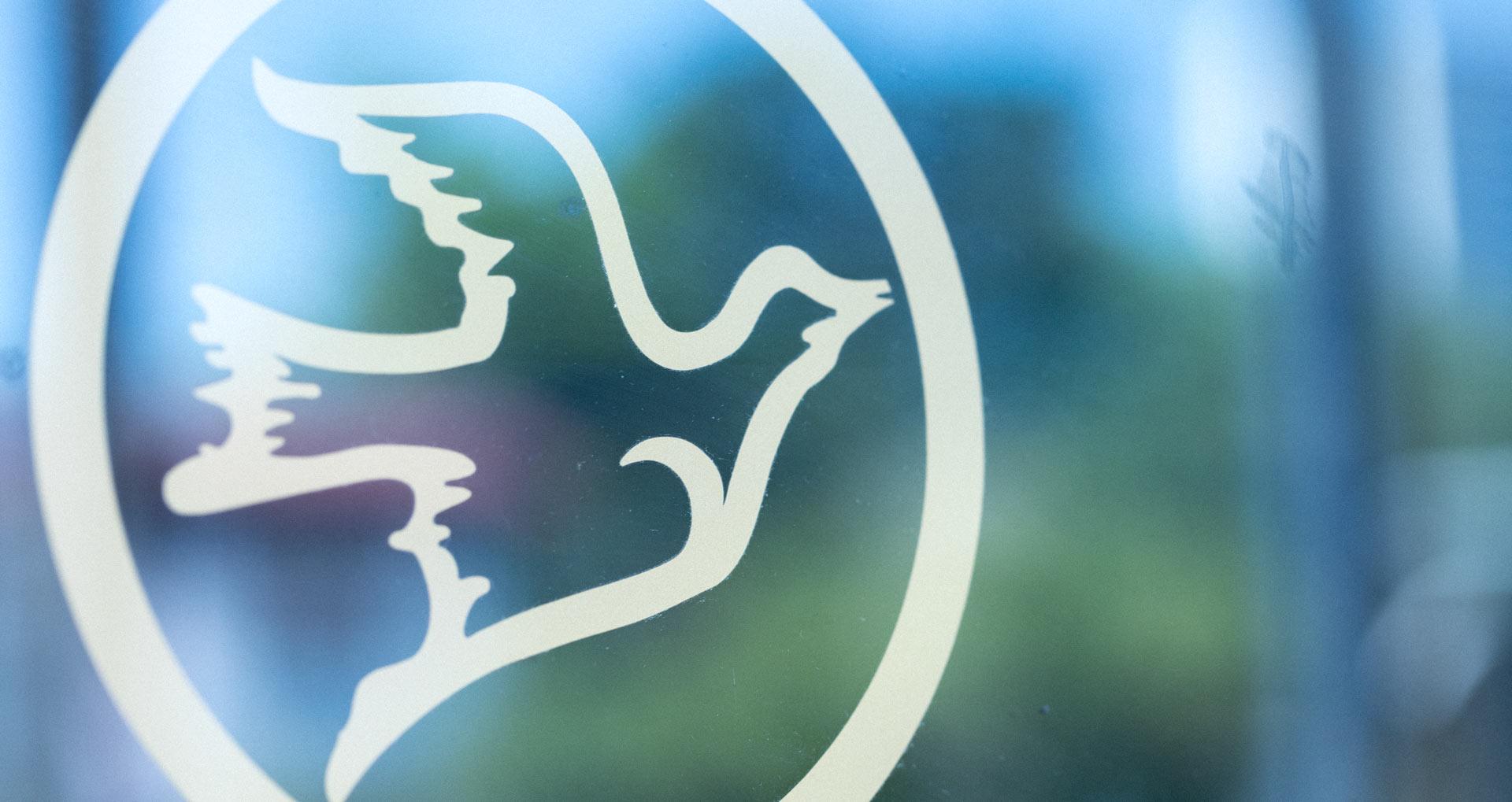 Blue Birds in a Circle Logo