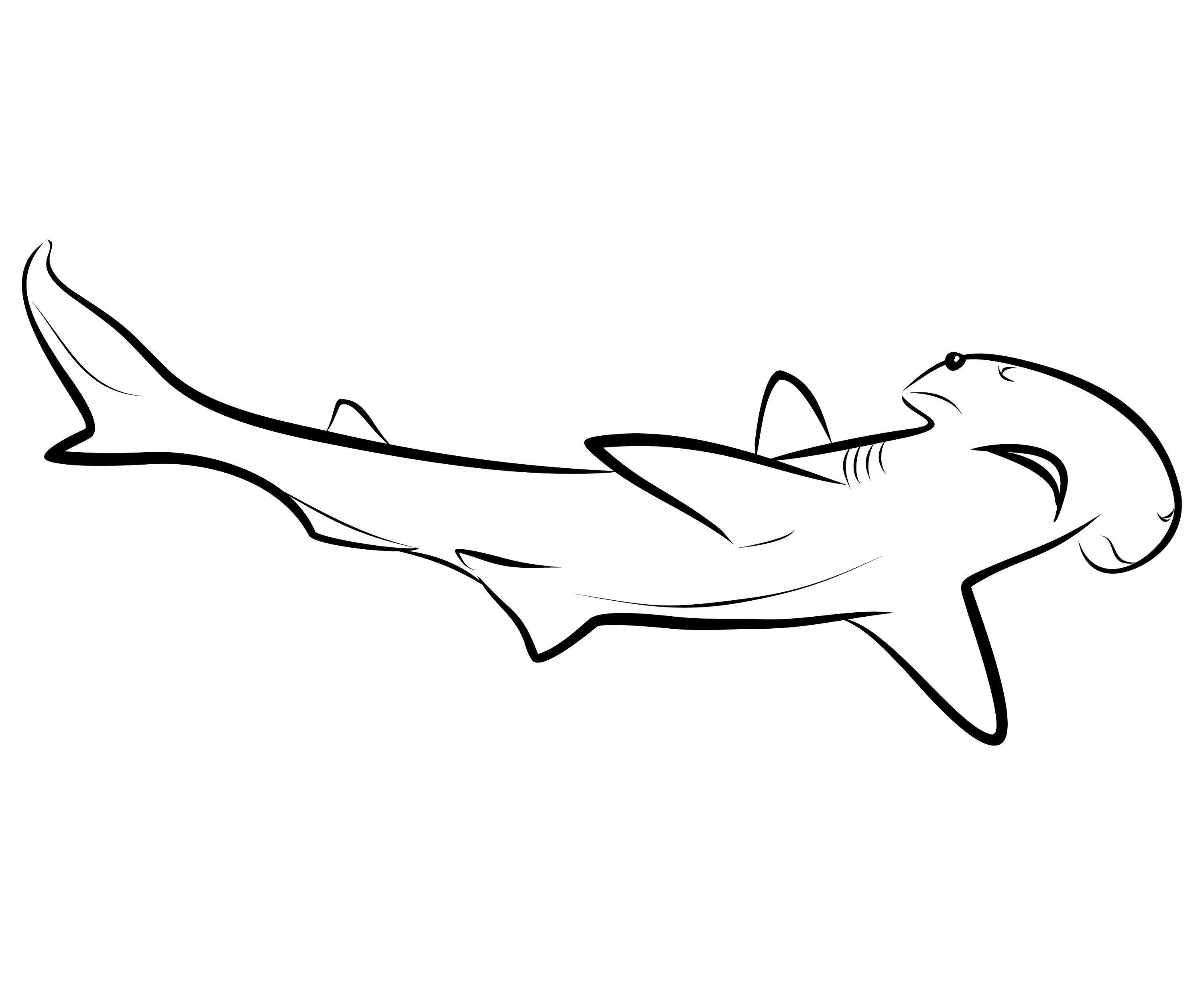 256 Shark Outline Svg SVG PNG EPS DXF File