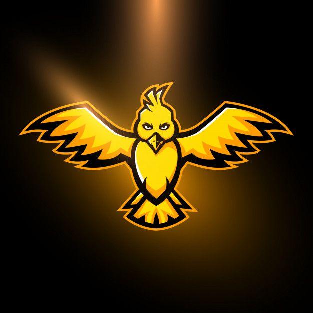 Yellow Bird Sports Logo LogoDix
