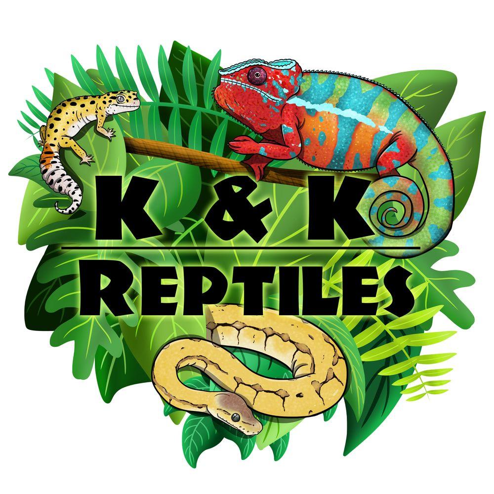 Reptile Logo LogoDix