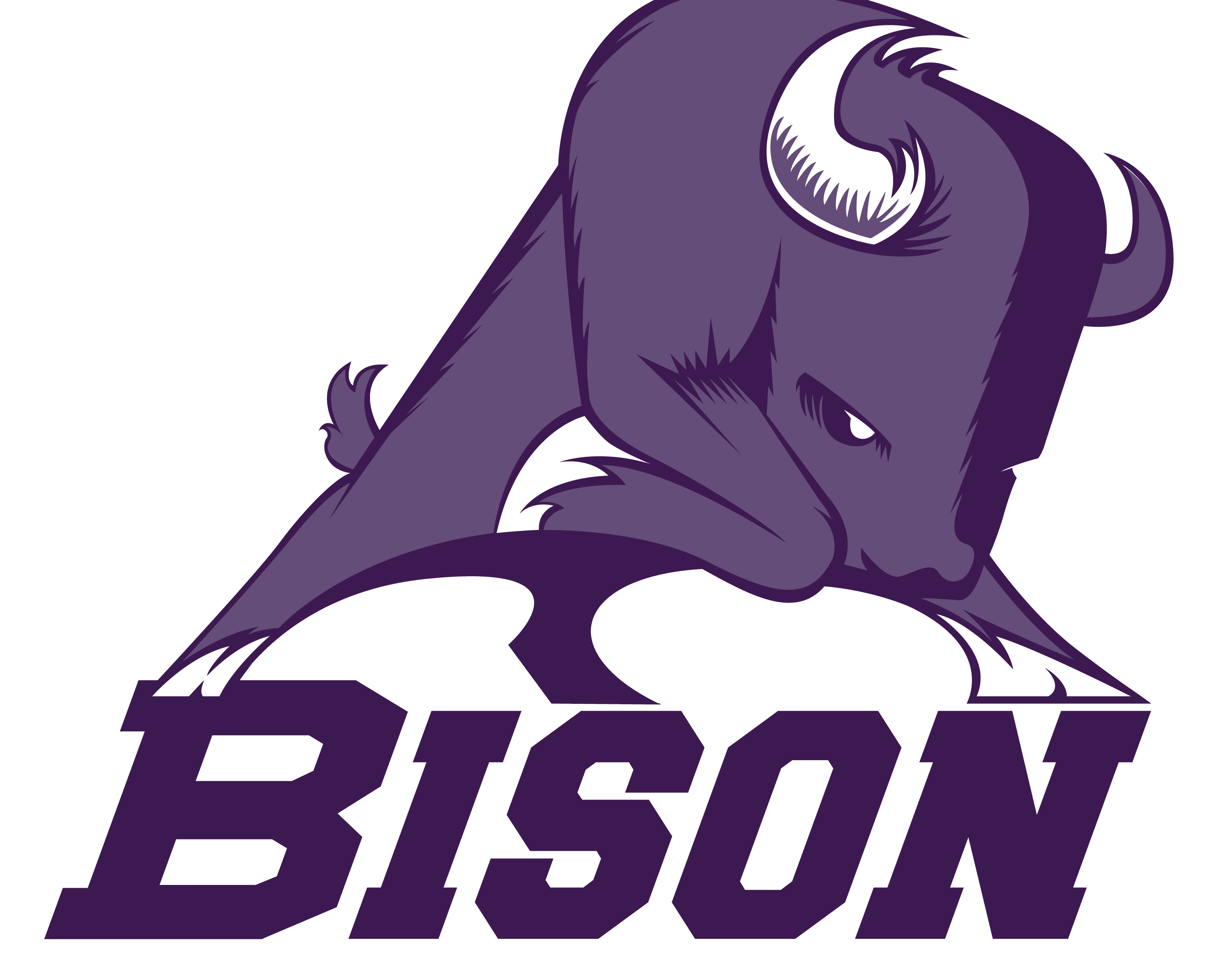 Sunset Bison Logo