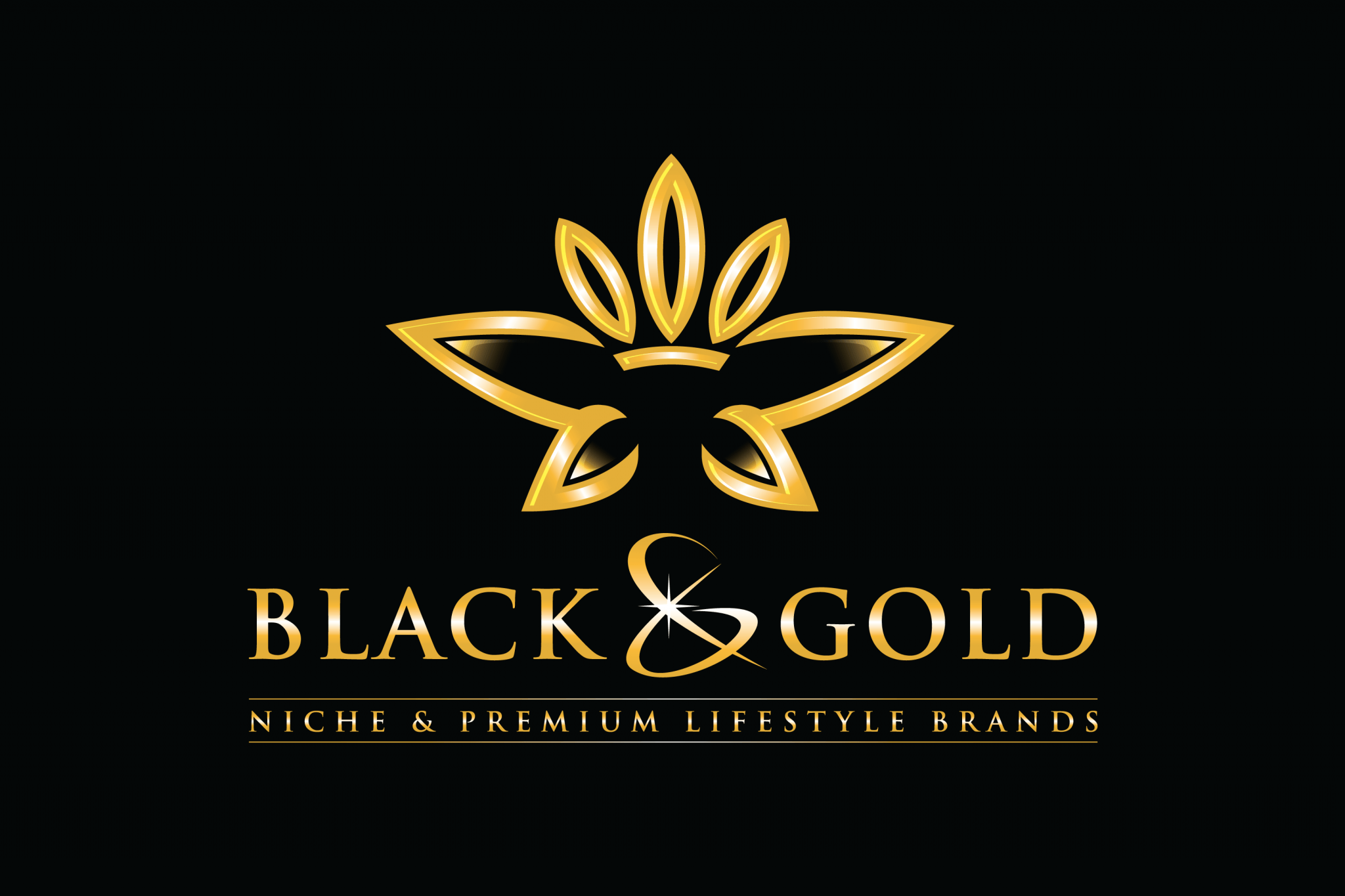 Black and Gold Logo LogoDix