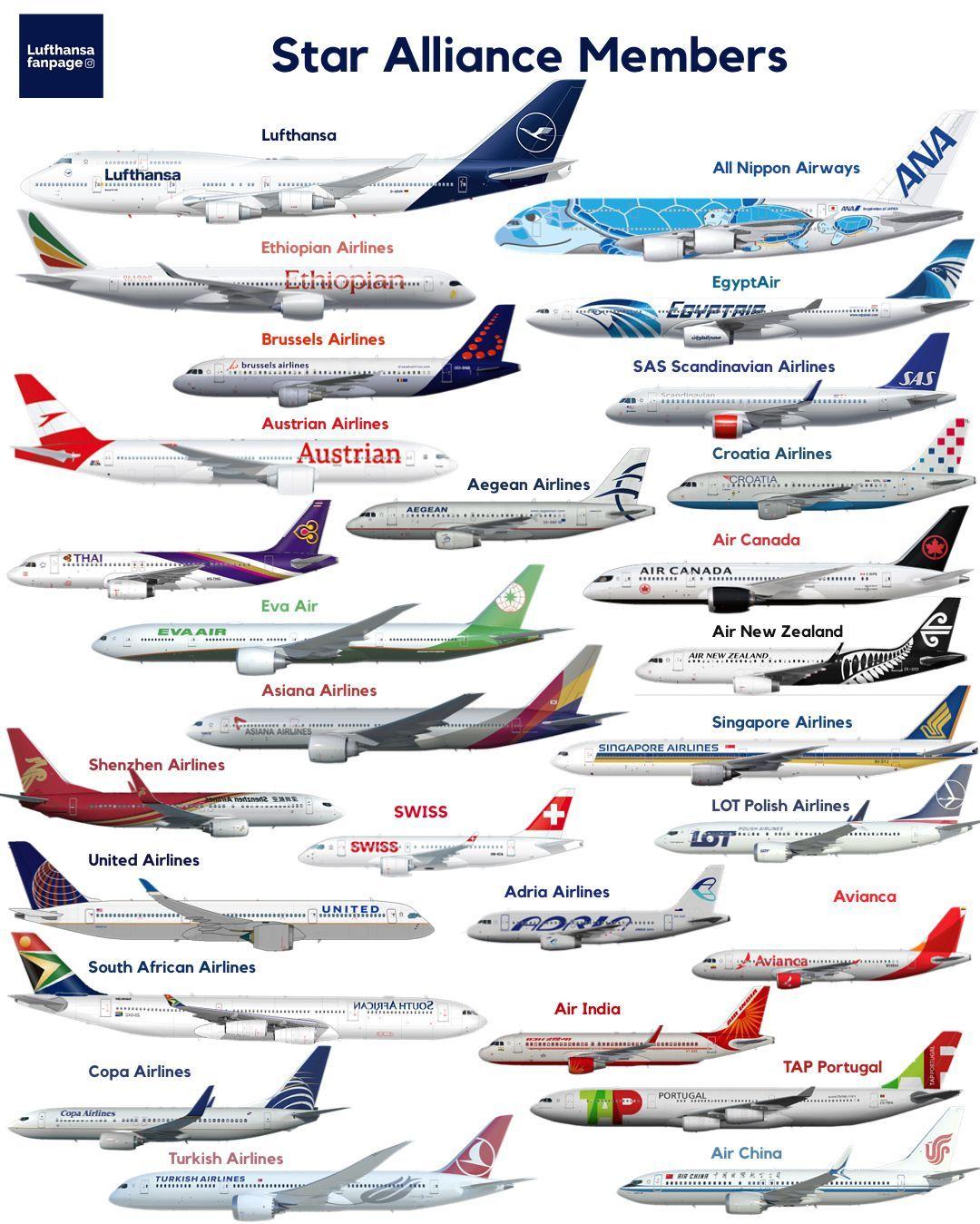World's Largest Airline Logo LogoDix