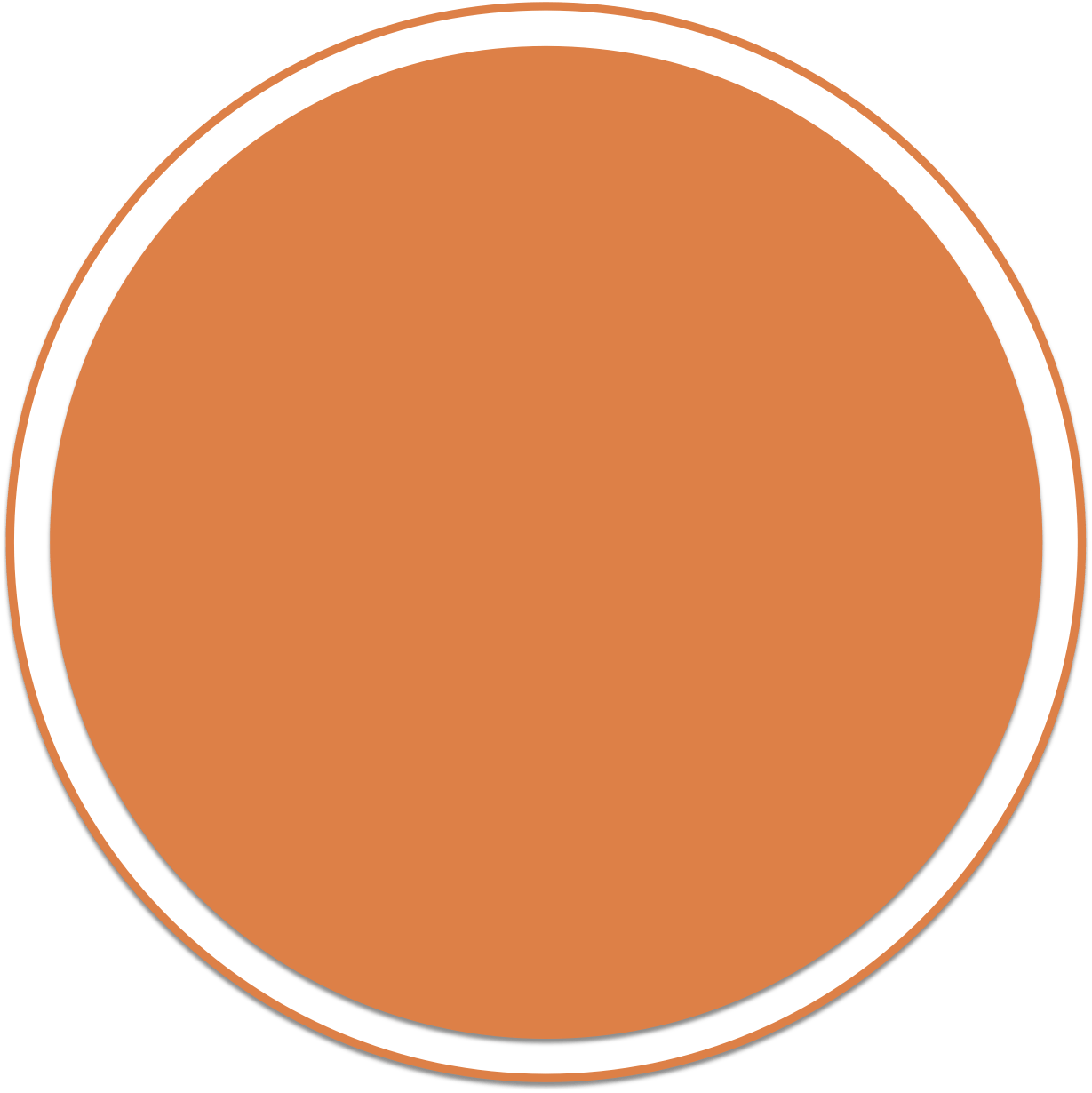 Orange Circle R Logo