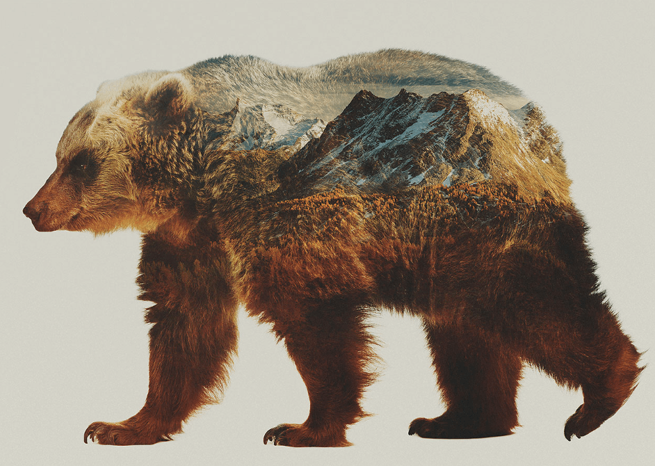 Patagonia Bear Logo LogoDix