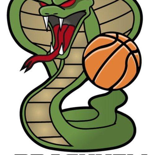 Cobra Basketball Logo LogoDix
