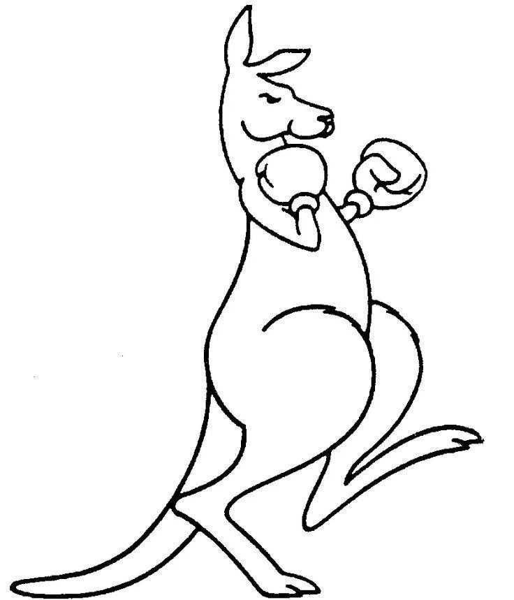 Boxing Kangaroo Logo LogoDix
