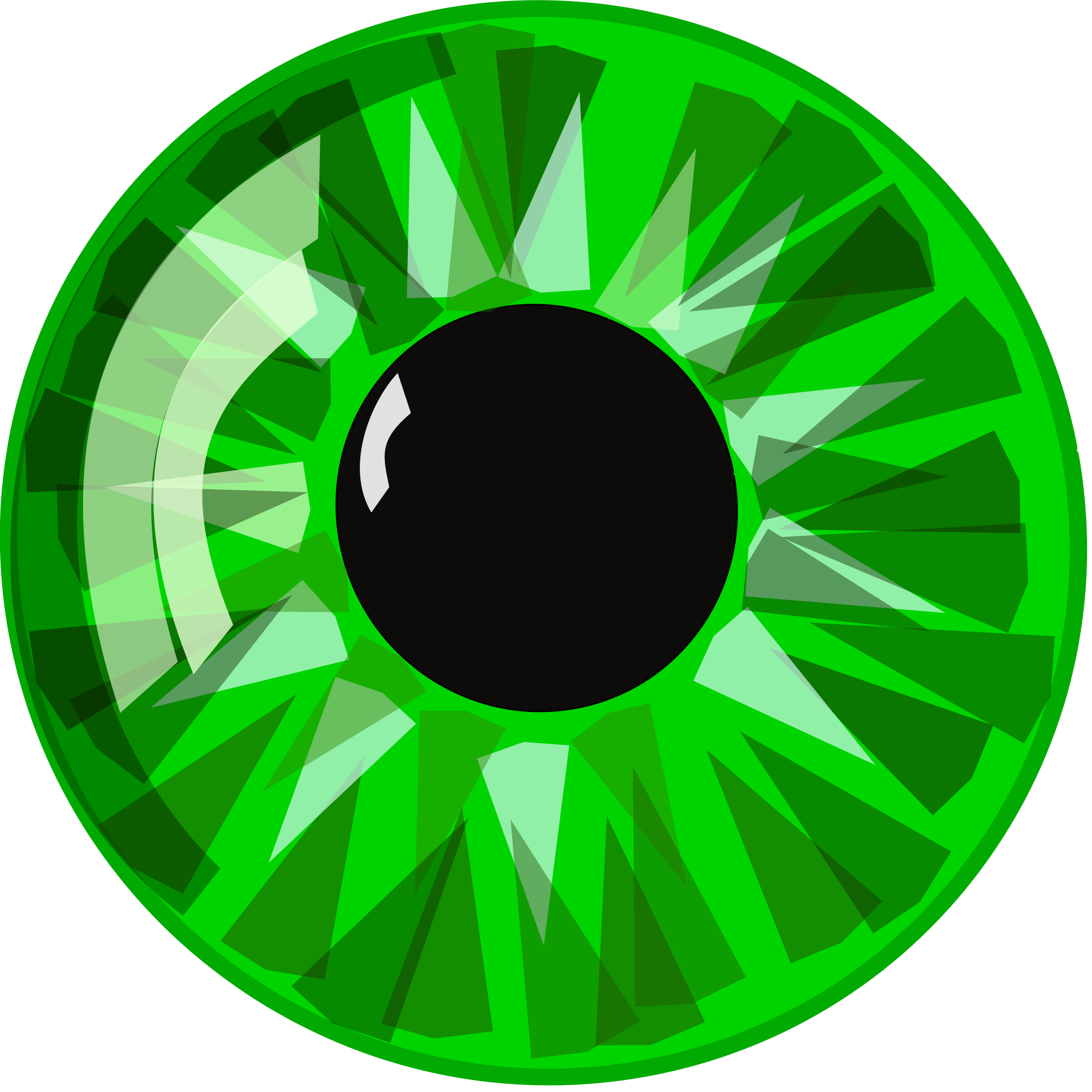 Green Eye Logo LogoDix