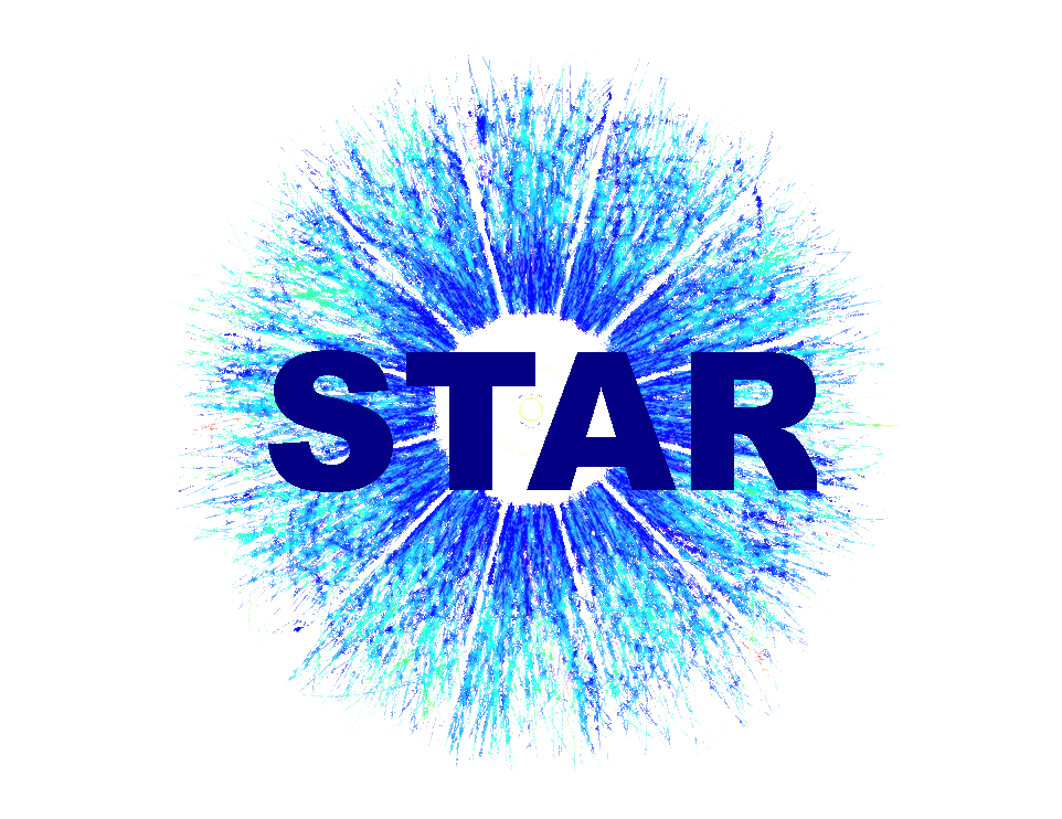 Blue and White Star Logo LogoDix