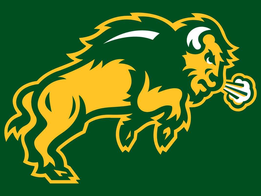 Bison Mascot Logo LogoDix