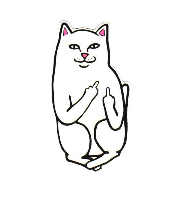 Transperent Ripndip Cat Logo