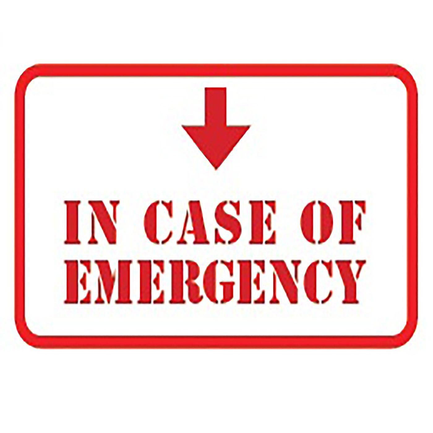 In Case of Emergency Logo LogoDix