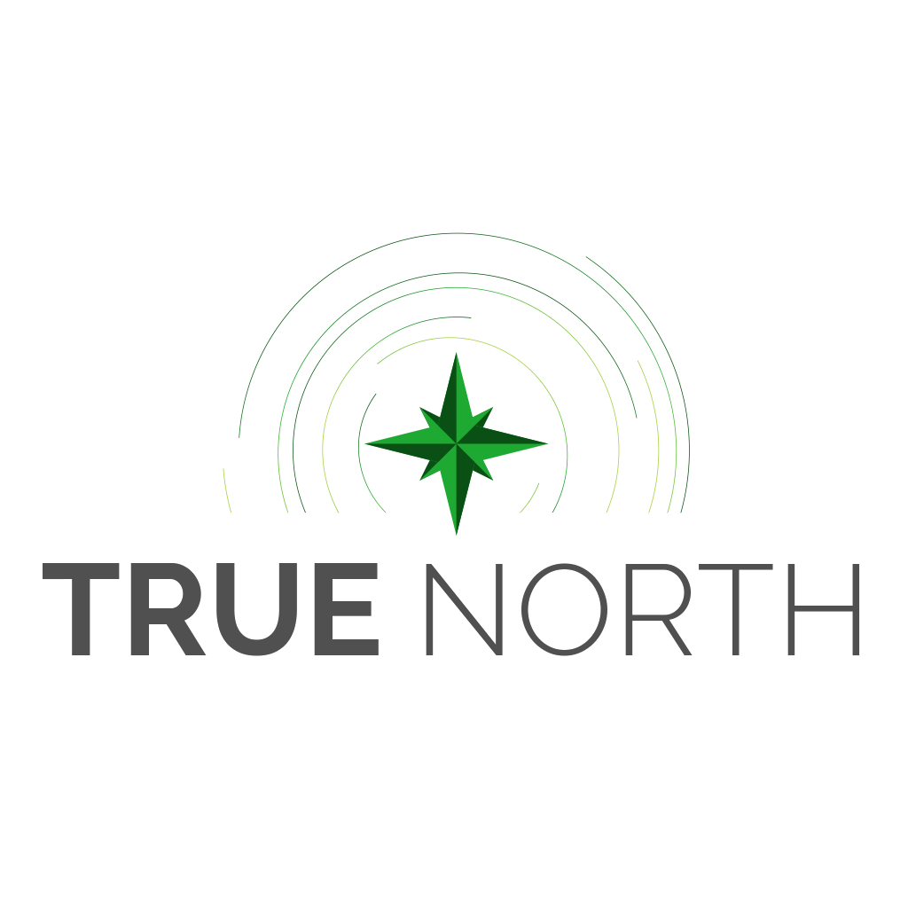 True North Logo LogoDix