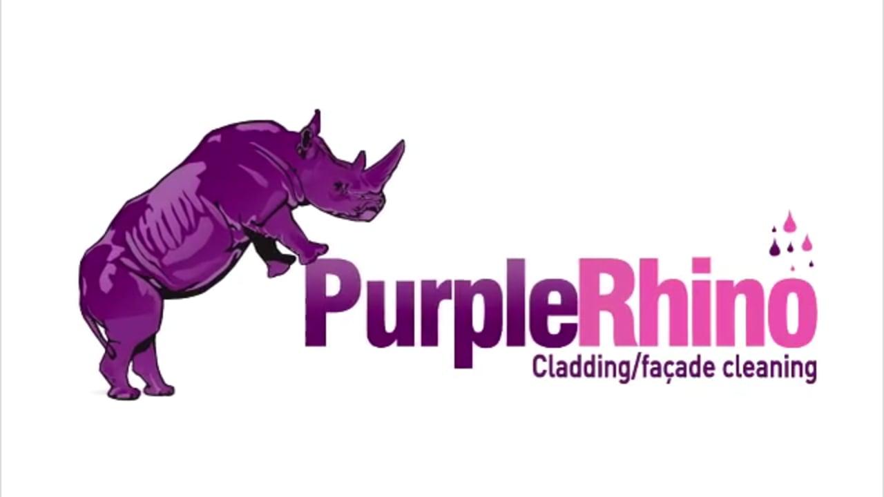 Purple Rhino Logo LogoDix