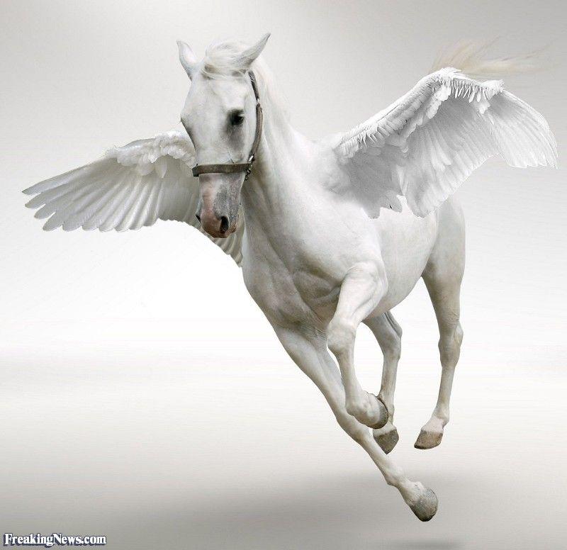 Flying White Horse Logo