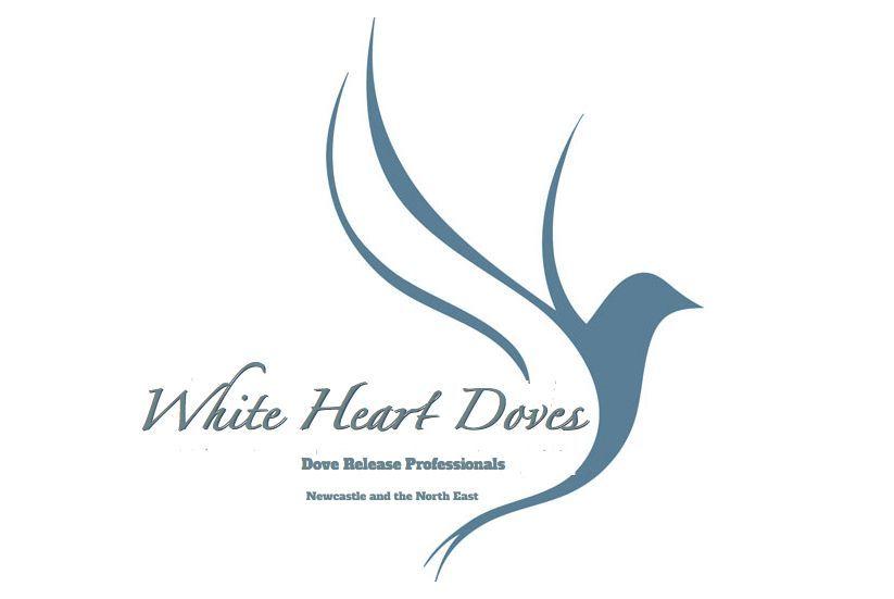 White Dove Logo LogoDix