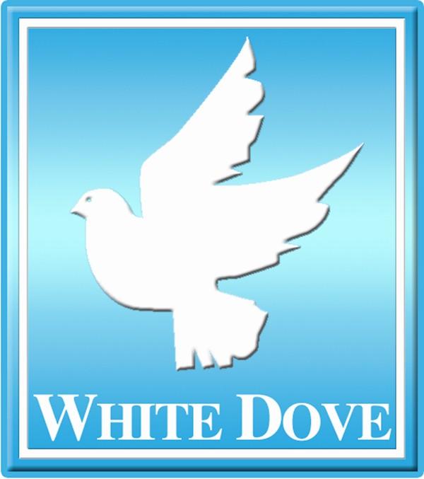 White Dove Logo LogoDix