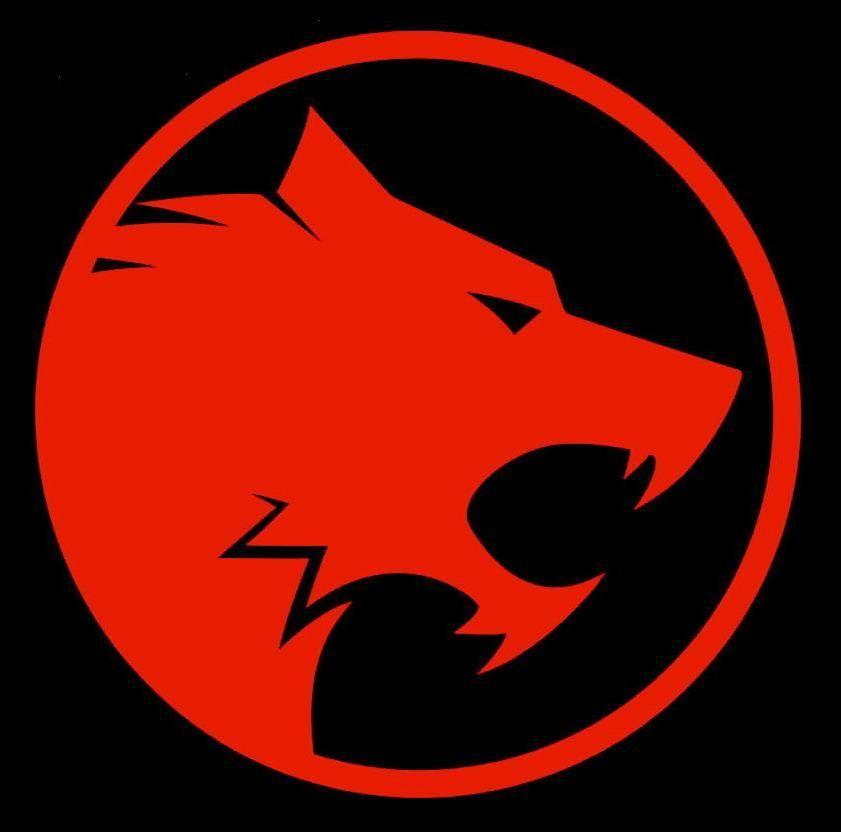 Orange Wolf Logo LogoDix