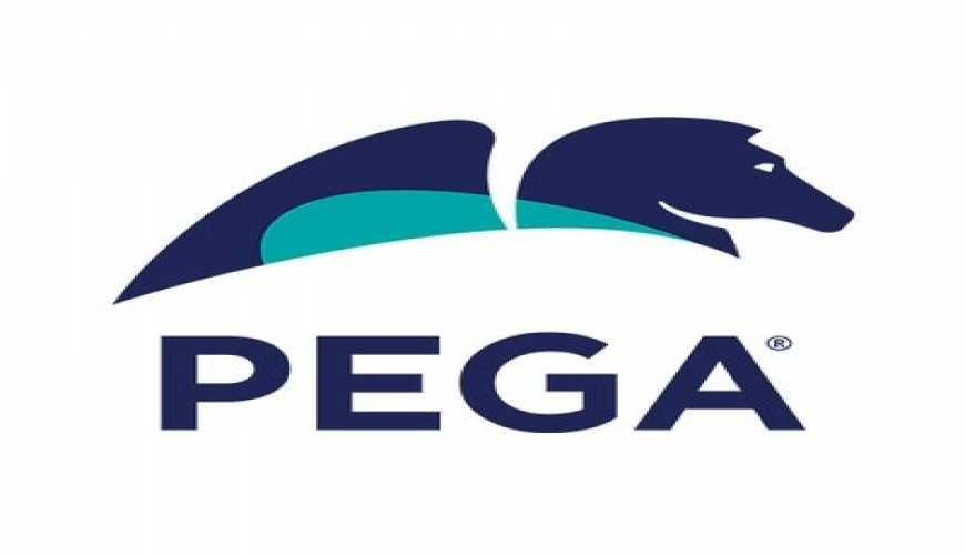Pegasystems Logo LogoDix