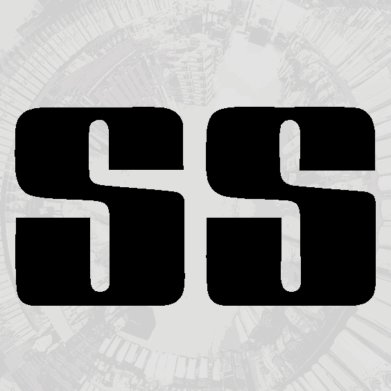 SS Cricket Bat Logo LogoDix