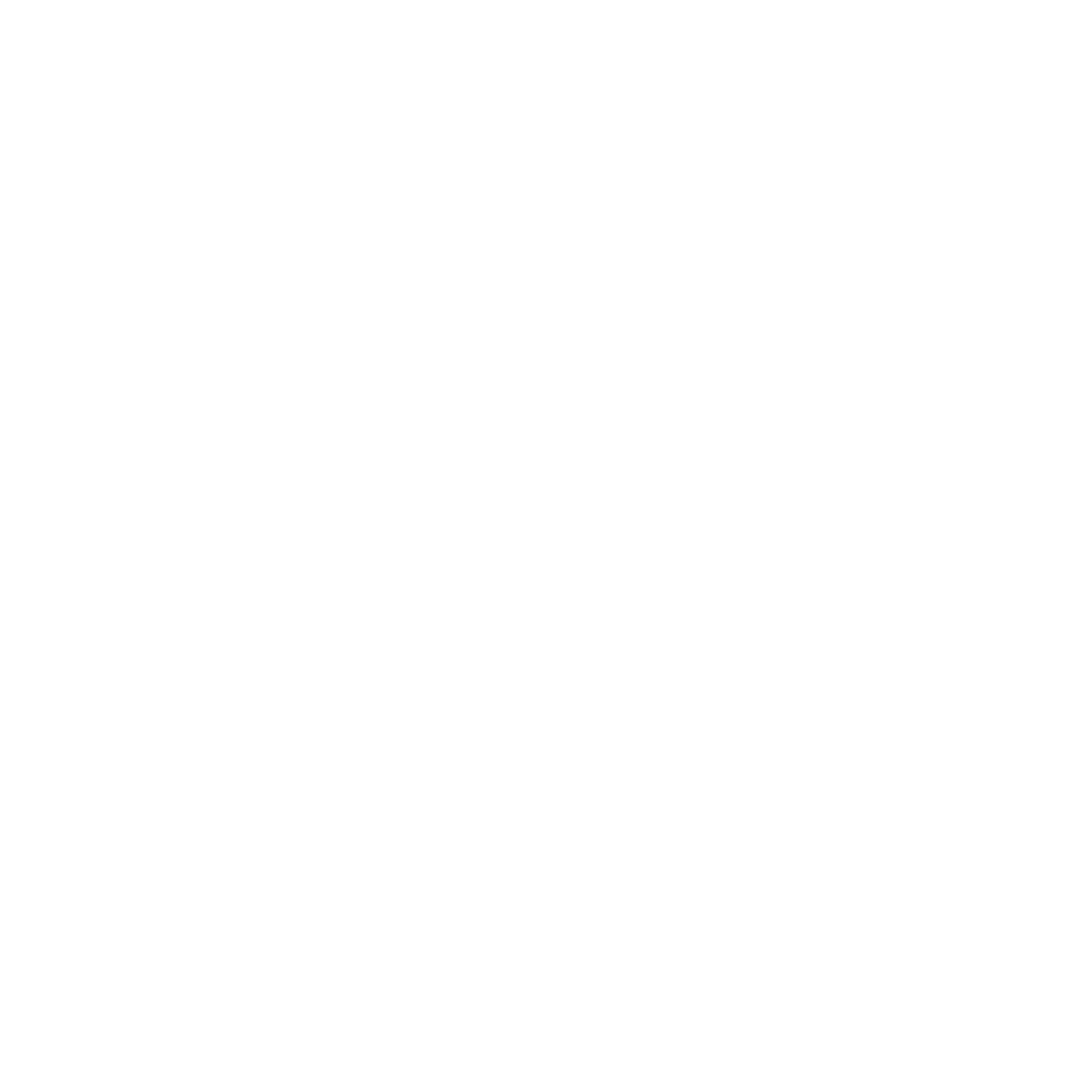 Vermeer Logo