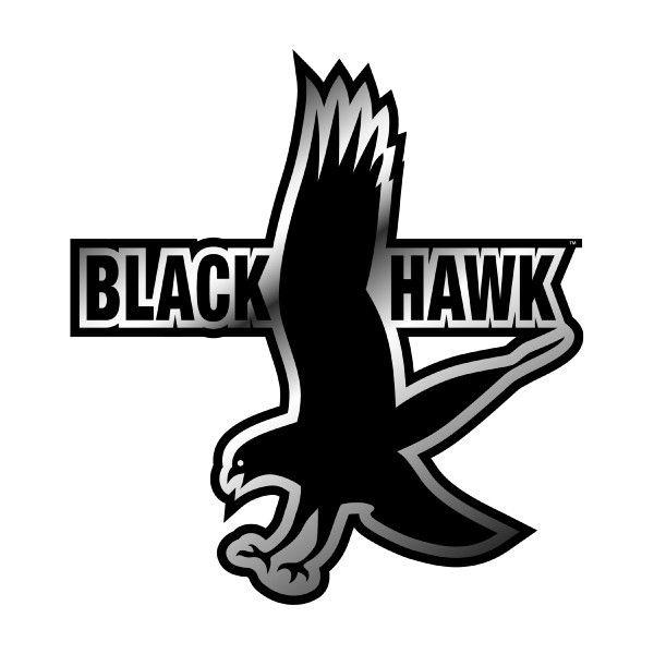 Black Hawk Bird Logo LogoDix
